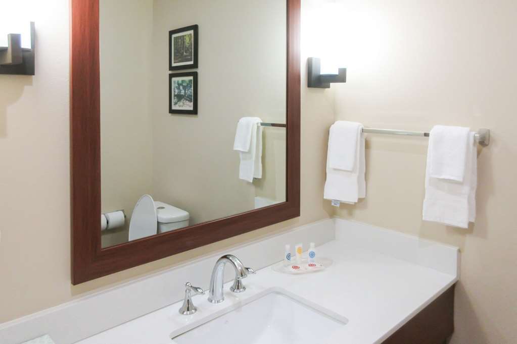 Comfort Suites Greensboro-High Point Room photo